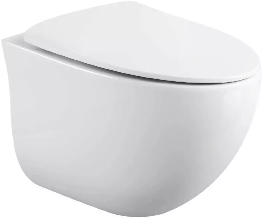 

Подвесной унитаз Black&White 751W00