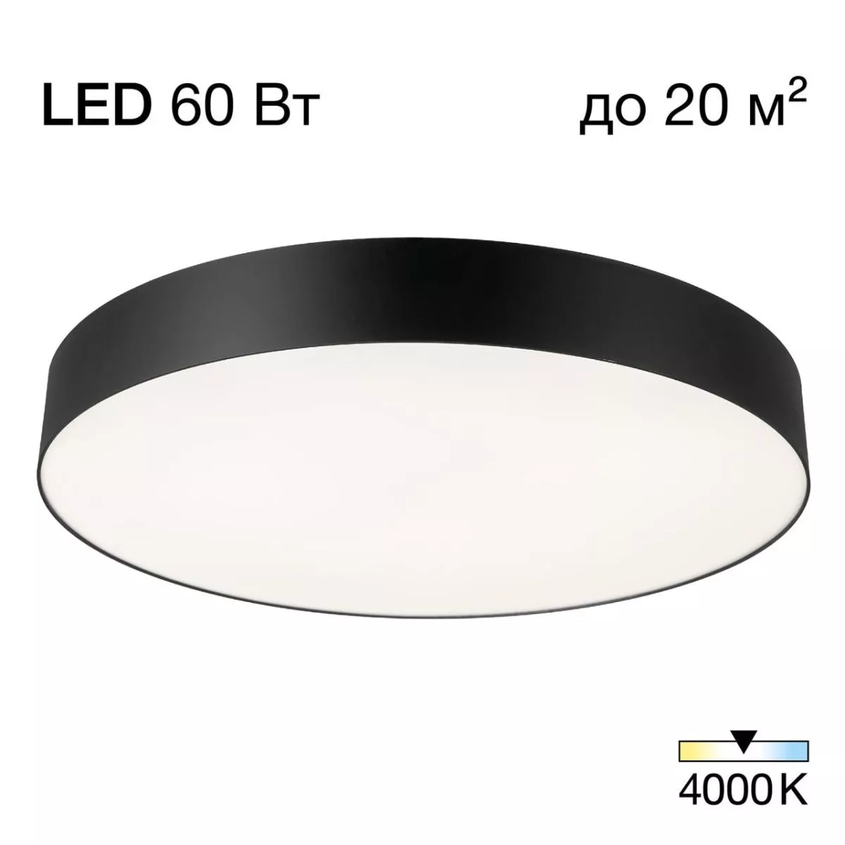 

Потолочный светильник Citilux Bart CL755491