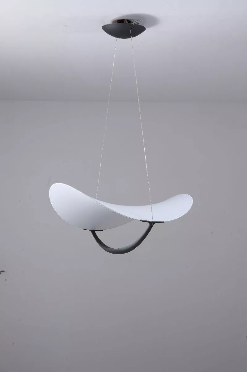 

Подвесной светильник Zortes Quincy ZRS.1585.13