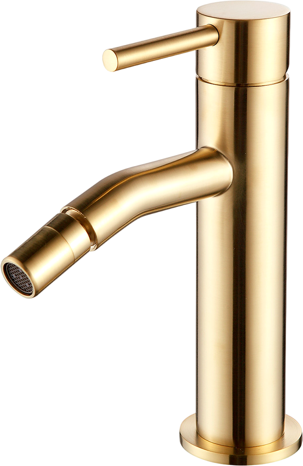

Смеситель для биде AQUAme Siena AQM6216GG глянцевое золото