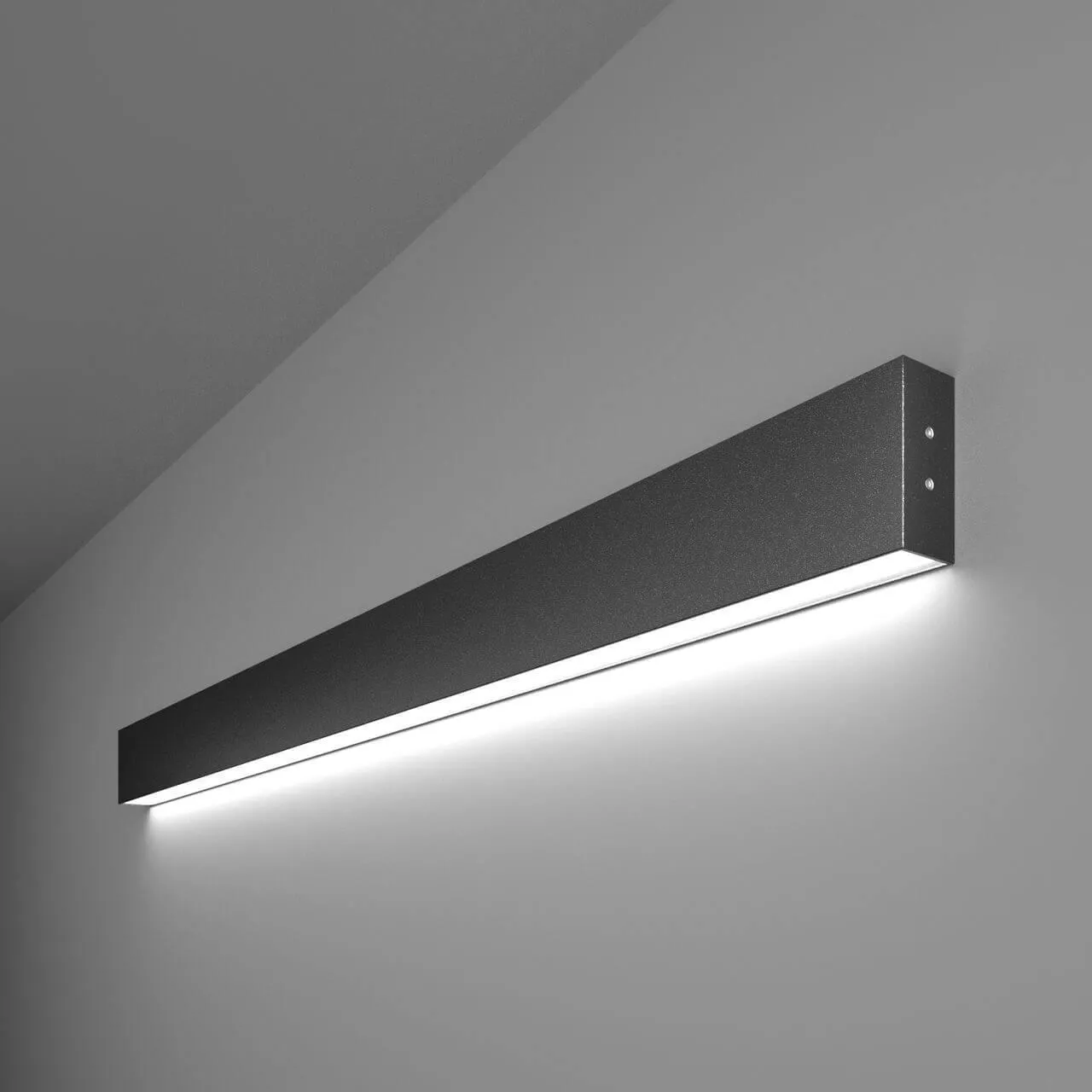 

Настенный светодиодный светильник Elektrostandard LSG-02-1-8x103-6500-MSh a042931