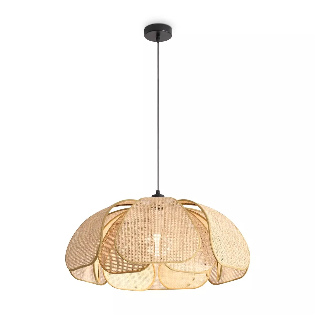

Подвесная люстра Freya Cocoon FR5529PL-01B