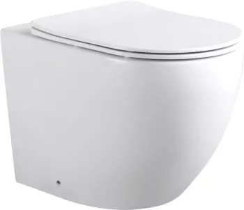 

Cetus 2.0 F Унитаз с сидением (Soft Close-SLIMSEAT) напольный приставной с Rimless (243540)