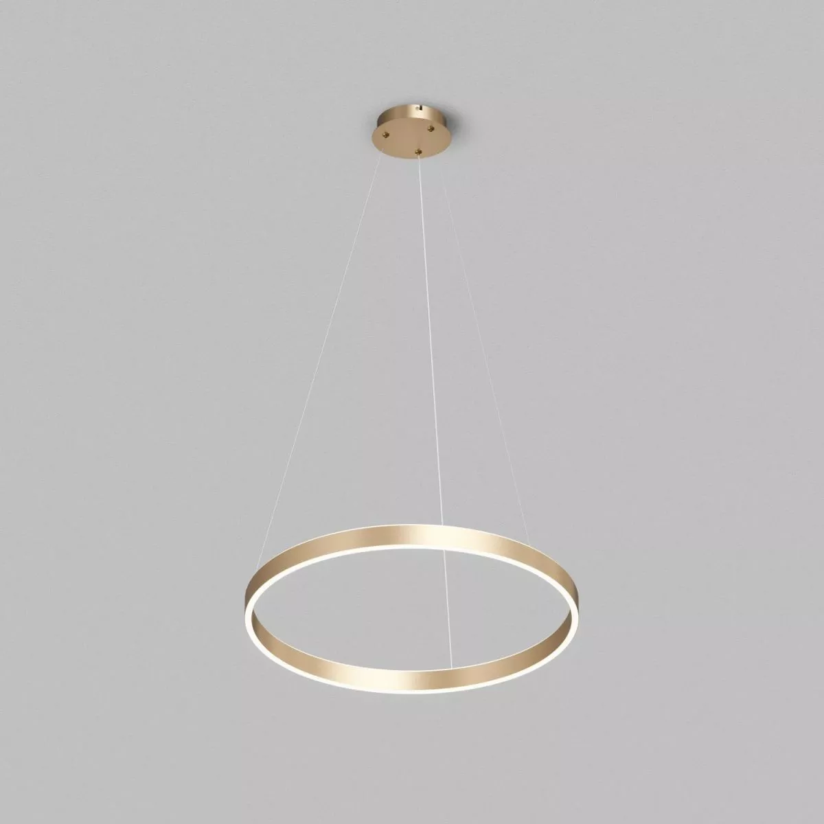 

Подвесной светильник Denkirs Raydia DK6273-SG