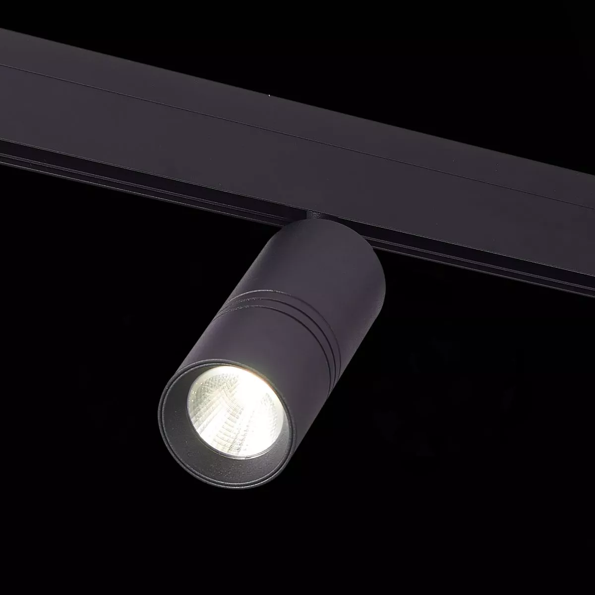 Трековый магнитный светильник ST Luce Skyline 48 ST365.446.20.1