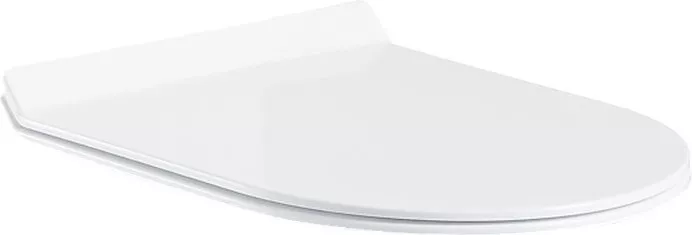 

Крышка-сиденье BelBagno Ancona BB2011SC с микролифтом