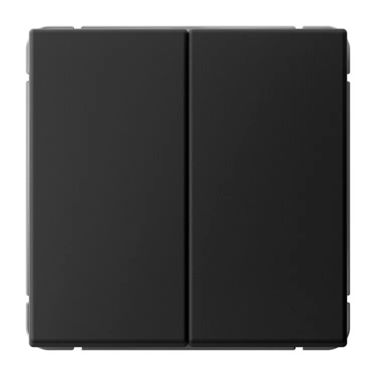 Выключатель двухклавишный Systeme Electric GAL001051S
