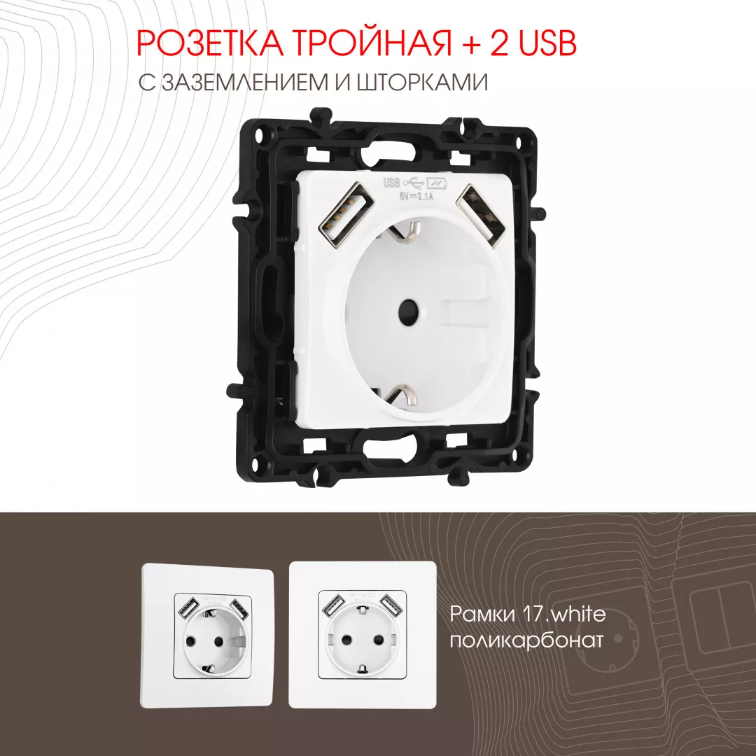 

Розетка с заземлением, шторками + 2 USB Arte Milano 217.47-1.white