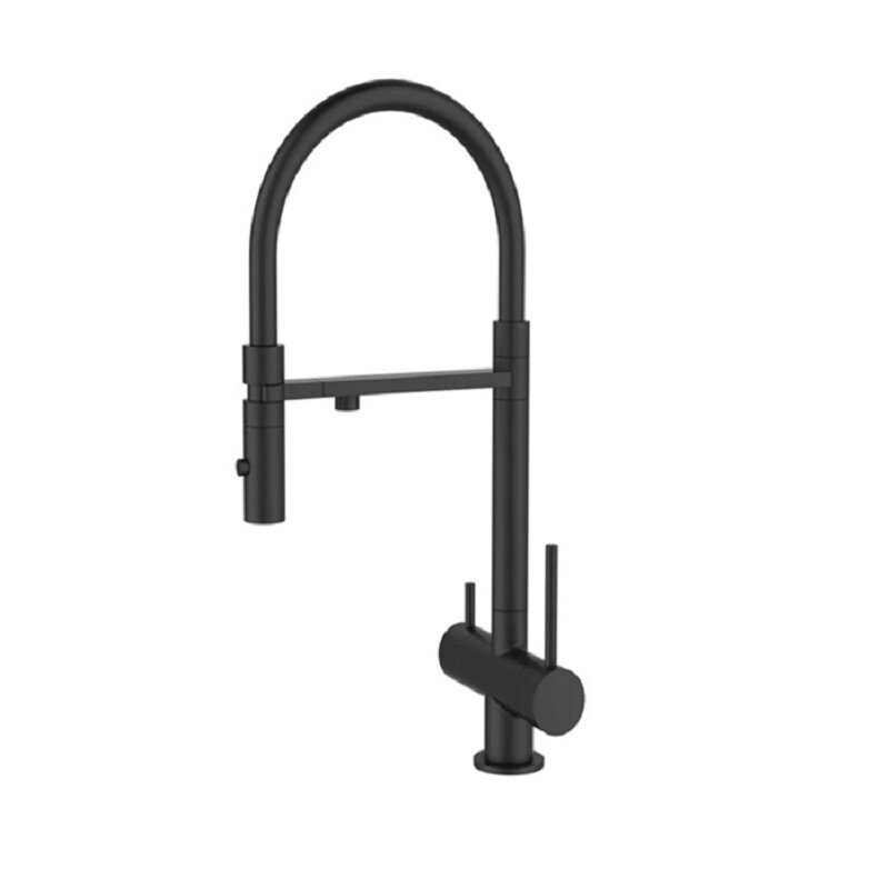 Смеситель для кухонной мойки DQ с фильтром черный (DA1462505Black)