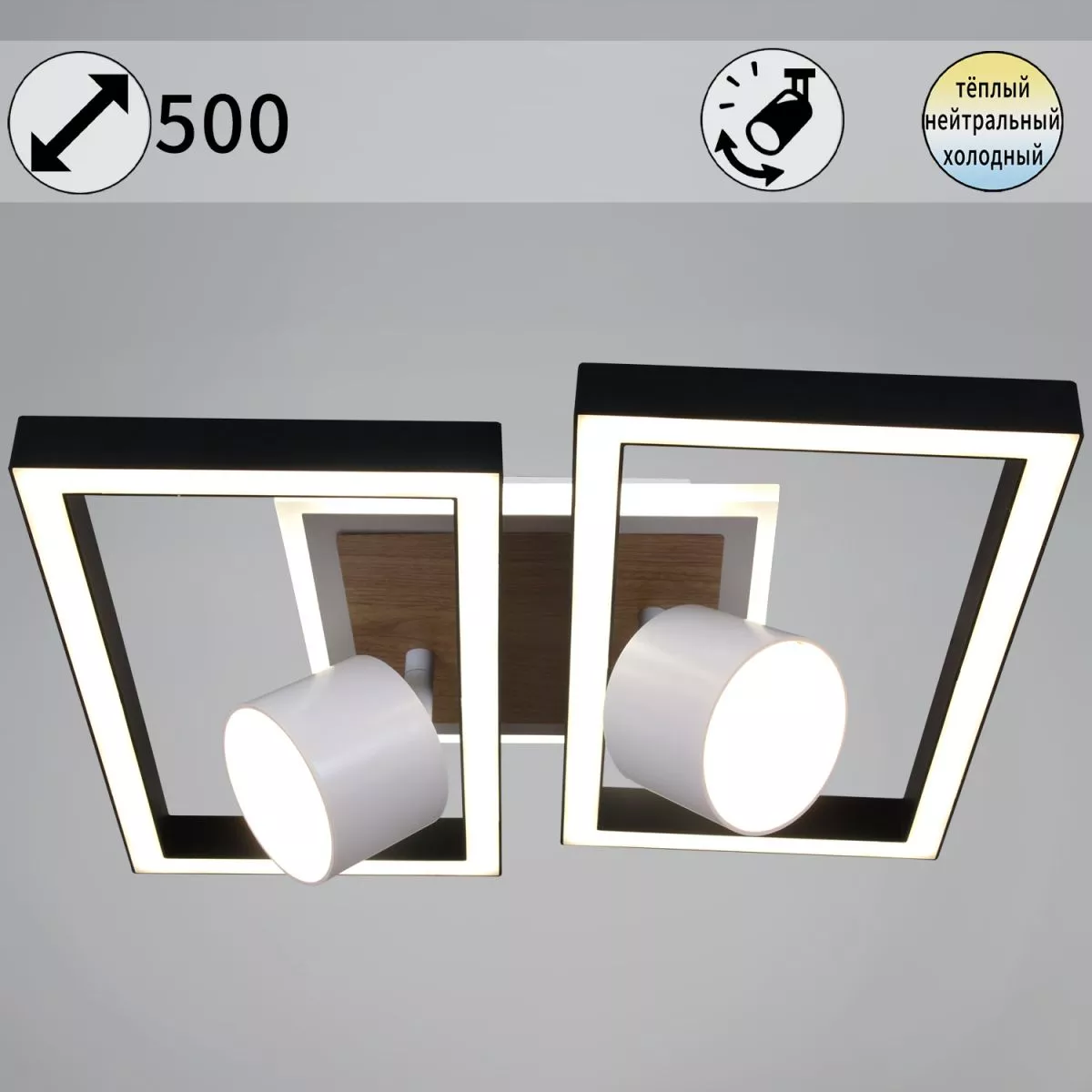 

Потолочная люстра Reluce 75406-0.3-2+2+1