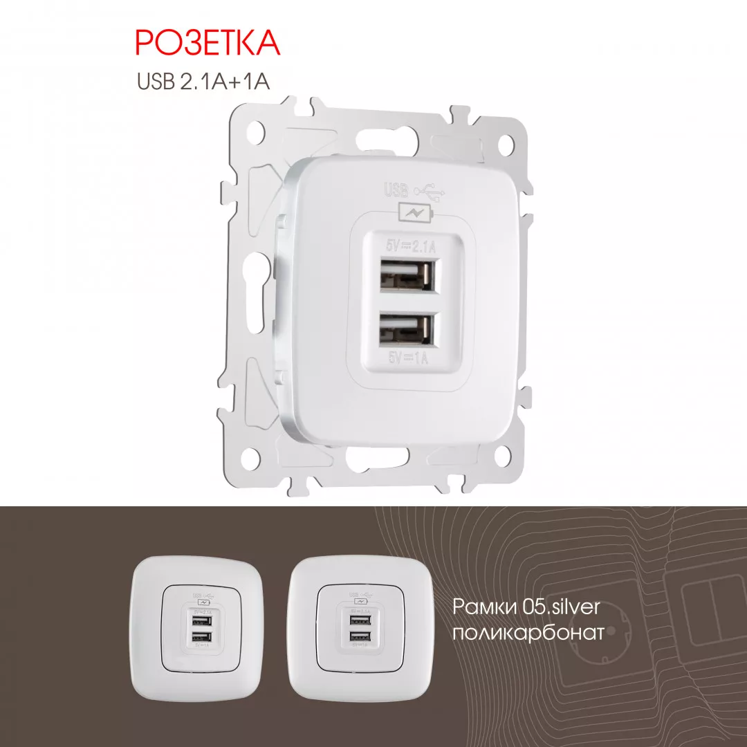 

Розетка USB 2.1А+1А Arte Milano 205.46-1.silver