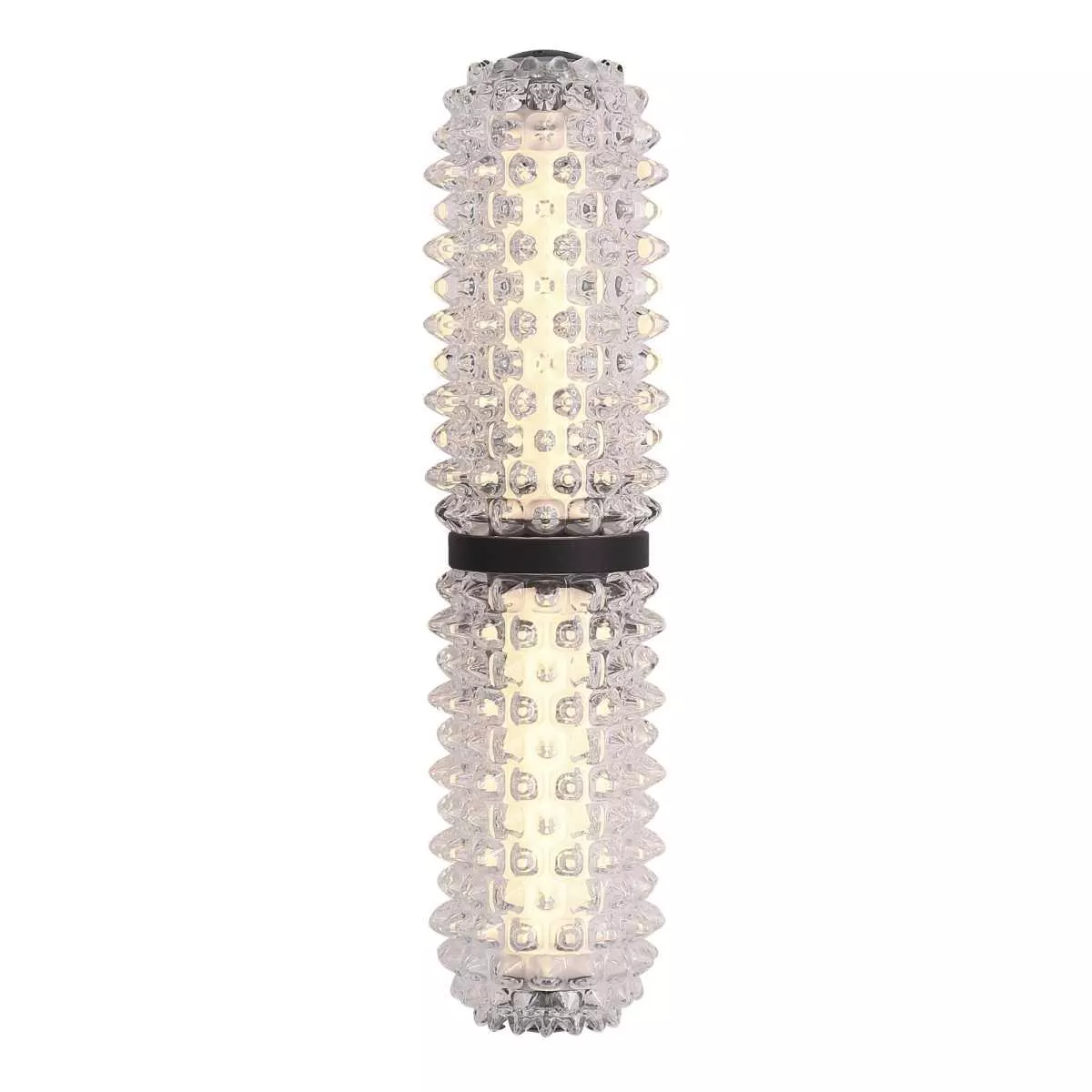 

Настенный светильник ST Luce SAGUARO SL6144.401.01