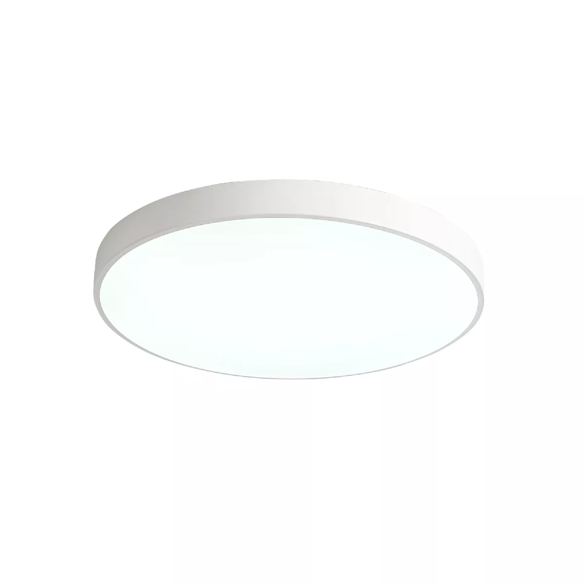 

Потолочный светильник Zortes Tortty ZRS.02564.96