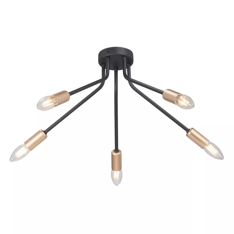 

Потолочная люстра Vitaluce V3020-1/5PL