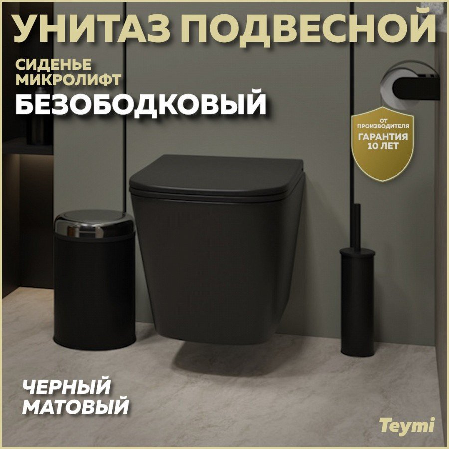 

Унитаз подвесной Teymi Helmi S T40302MB