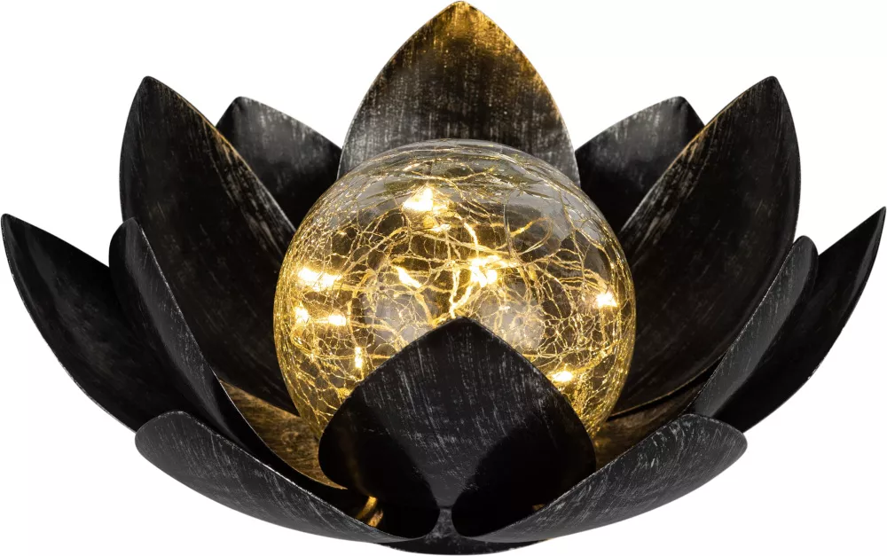 

Светильник на солнечной батарее Эра ERASF22-52 Б0054475