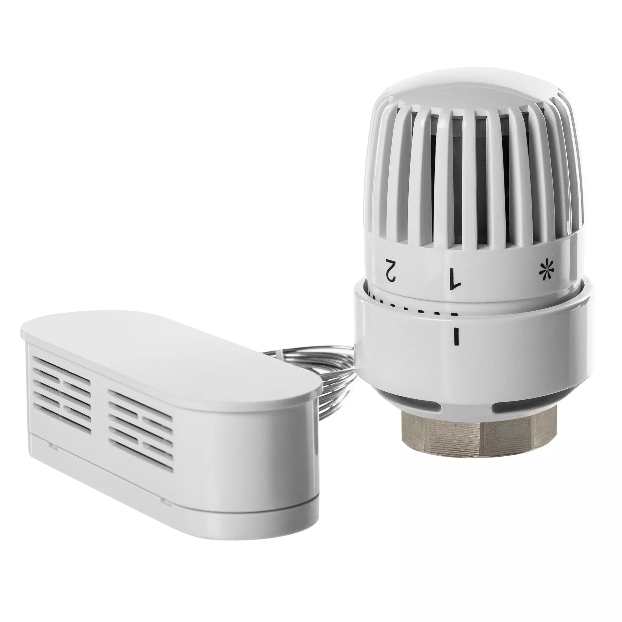 

Термоголовка жидкостная Royal Thermo BASIC с выносным датчиком М30х1,5