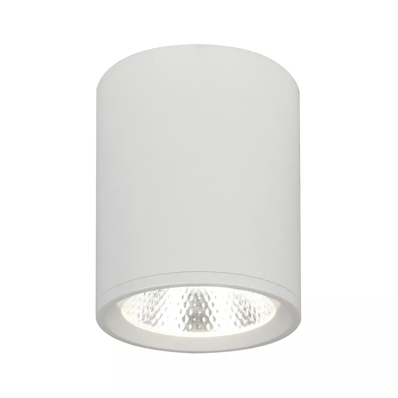 

Потолочный светильник 20003 20003SMU/02LED SWH