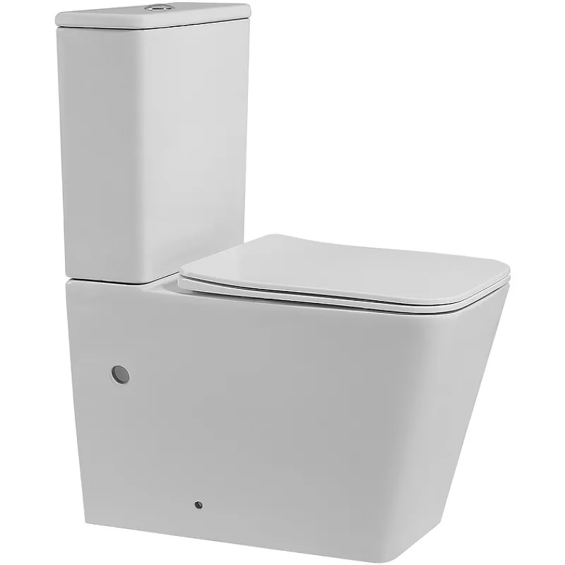 

Напольный унитаз Abber Rechteck AC1210 белый матовый, с сиденьем микролифт