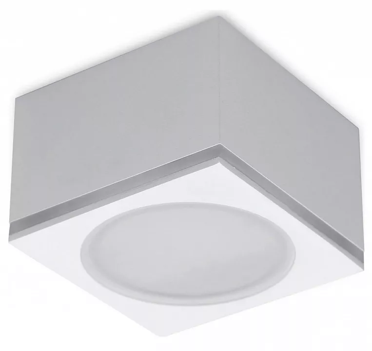 

Накладной светильник Ambrella Light TN TN266