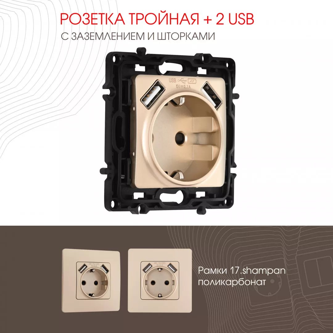 

Розетка с заземлением, шторками + 2 USB Arte Milano 217.47-1.shampan