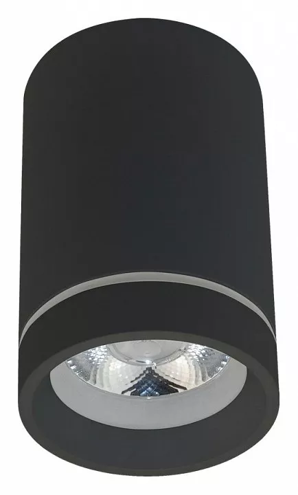 

Накладной светильник Aployt Edda APL.0053.19.10