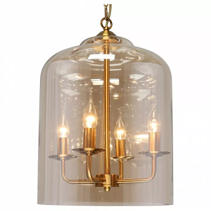 

Подвесной светильник Aployt Polin APL.603.06.06