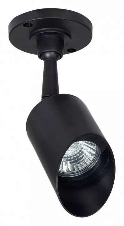 

Уличный светильник Arte Lamp Elsie A1022AL-1BK