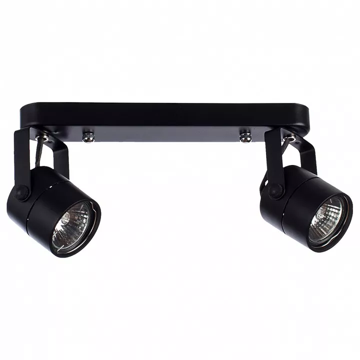 

Спот Arte Lamp A1311PL-2BK