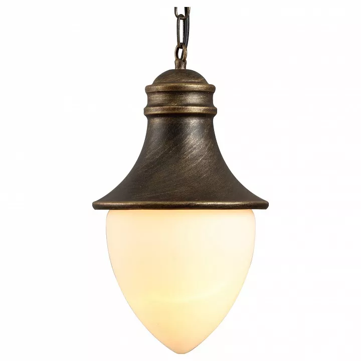 

Уличный подвесной светильник Arte Lamp Vienna A1317SO-1BN