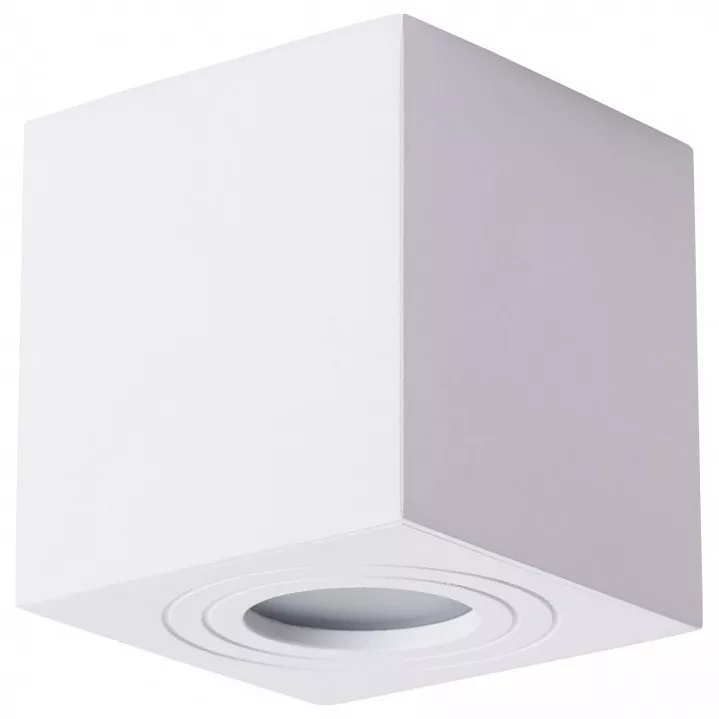 

Потолочный светильник Arte Lamp Galopin A1461PL-1WH