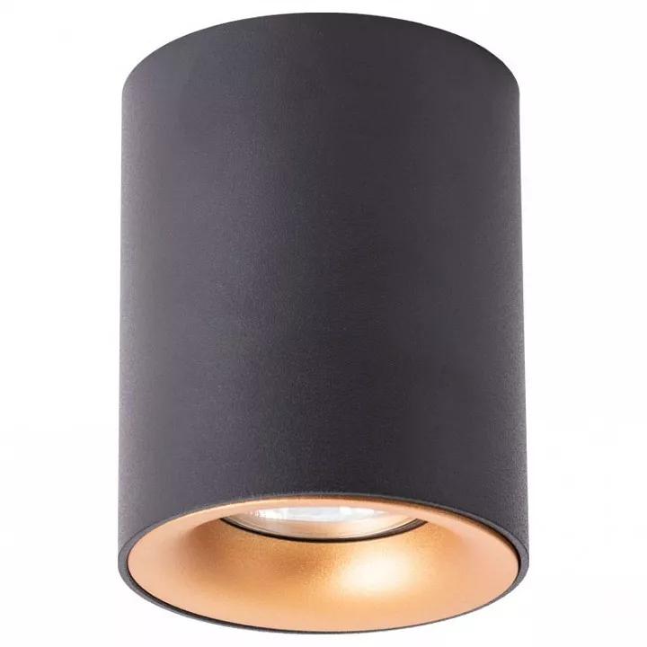 

Потолочный светильник Arte Lamp Torre A1532PL-1BK