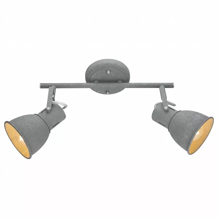 

Спот Arte Lamp A1677PL-2GY