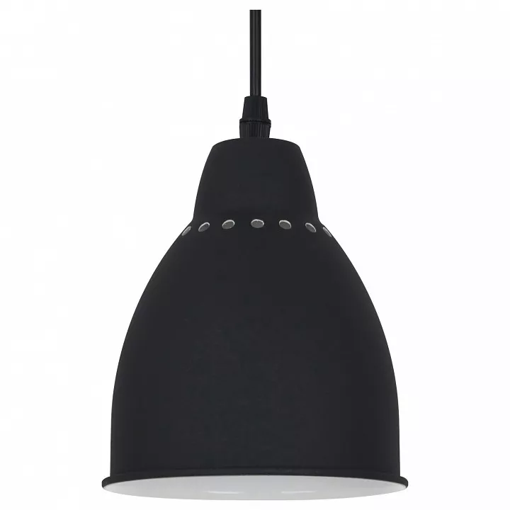 

Подвесной светильник Arte Lamp Braccio A2054SP-1BK