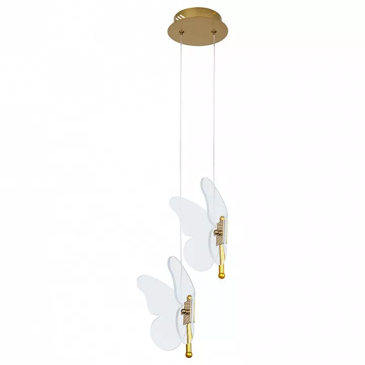 

Подвесной светодиодный светильник Arte Lamp Darcy A2187SP-2GO