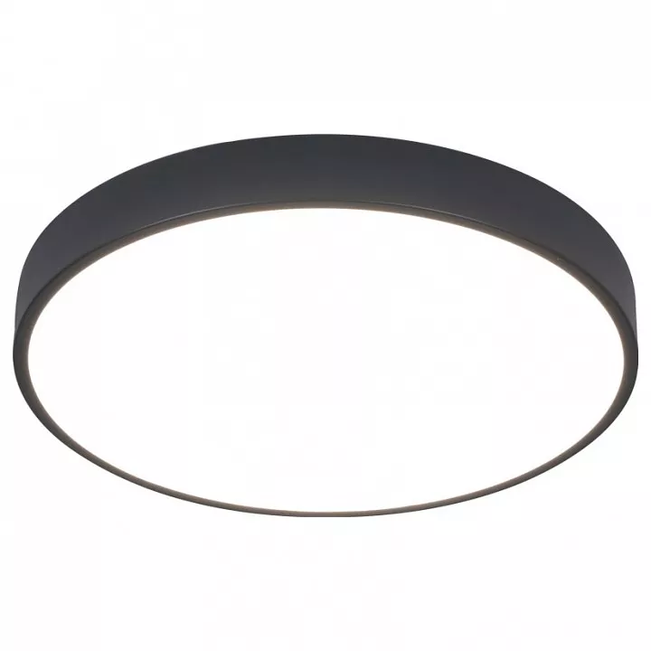 

Потолочный светодиодный светильник Arte Lamp Arena A2661PL-1BK