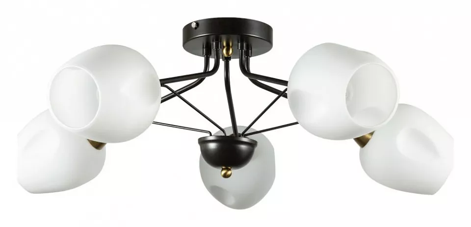 

Потолочная люстра Arte Lamp Brighton A2706PL-5CK