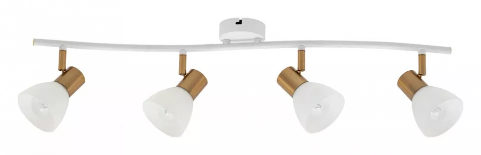 

Спот Arte Lamp Falena A3117PL-4WH