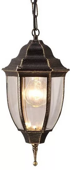 

Уличный подвесной светильник Arte Lamp Pegasus A3151SO-1BN