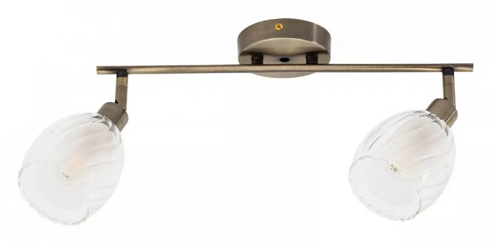 

Спот Arte Lamp Biham A3184PL-2AB