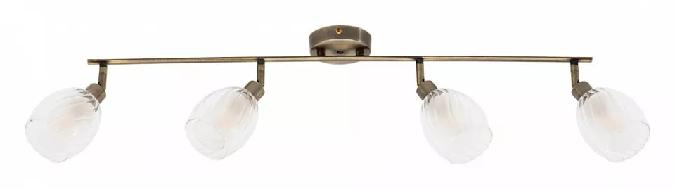 

Спот Arte Lamp Biham A3184PL-4AB