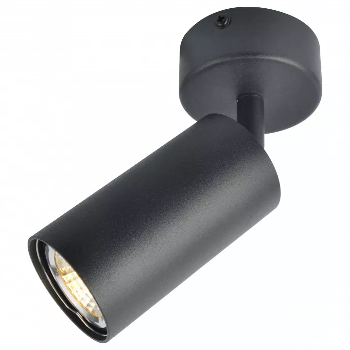 

Спот Arte Lamp A3216PL-1BK