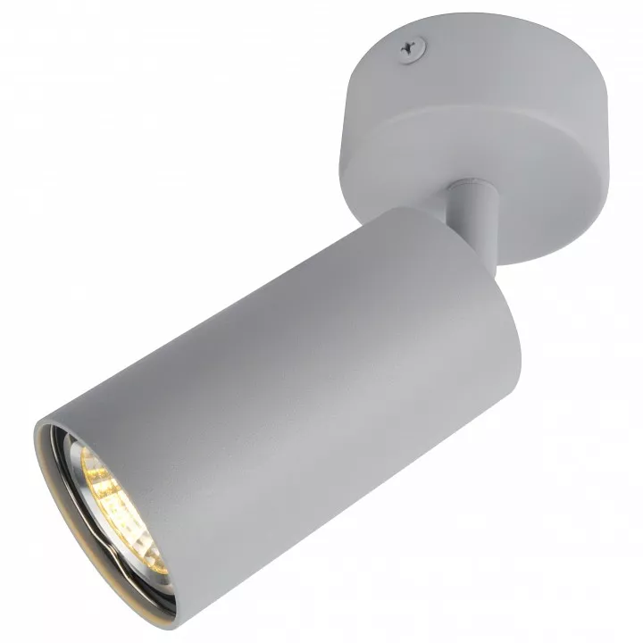 

Спот Arte Lamp A3216PL-1GY
