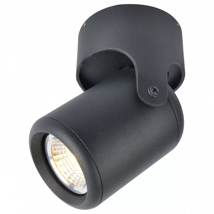 

Спот Arte Lamp A3316PL-1BK