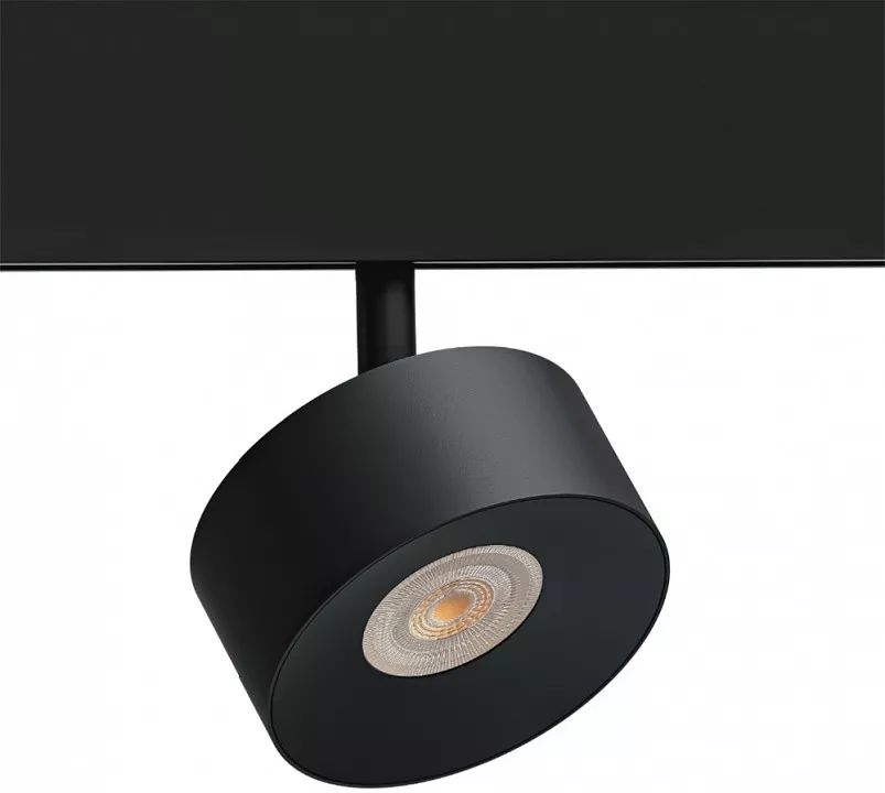 

Светильник на штанге Arte Lamp Linea A4771PL-1BK