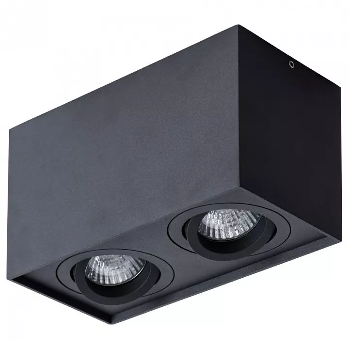 

Потолочный светильник Arte Lamp Factor A5544PL-2BK