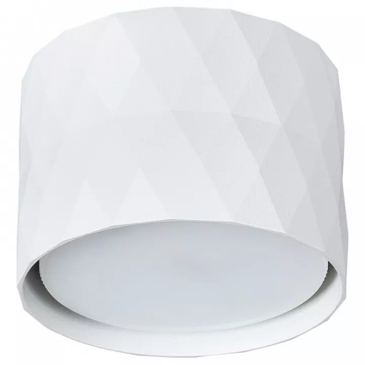 

Потолочный светильник Arte Lamp Fang A5552PL-1WH