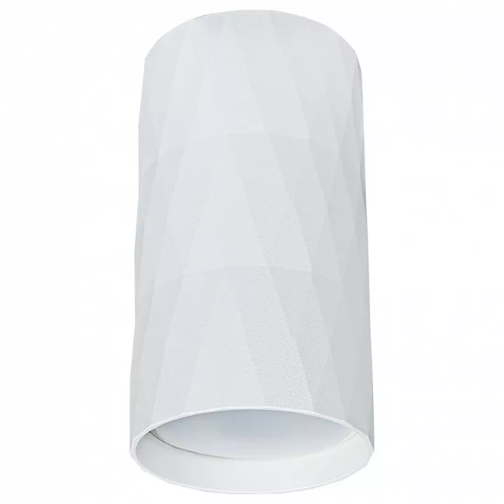 

Потолочный светильник Arte Lamp Fang A5557PL-1WH