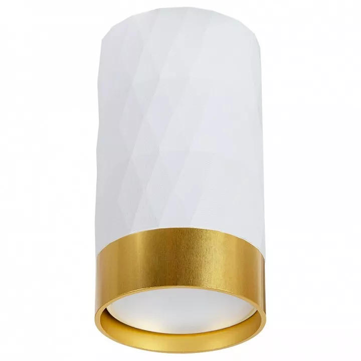 

Потолочный светильник Arte Lamp Fang A5558PL-1WH