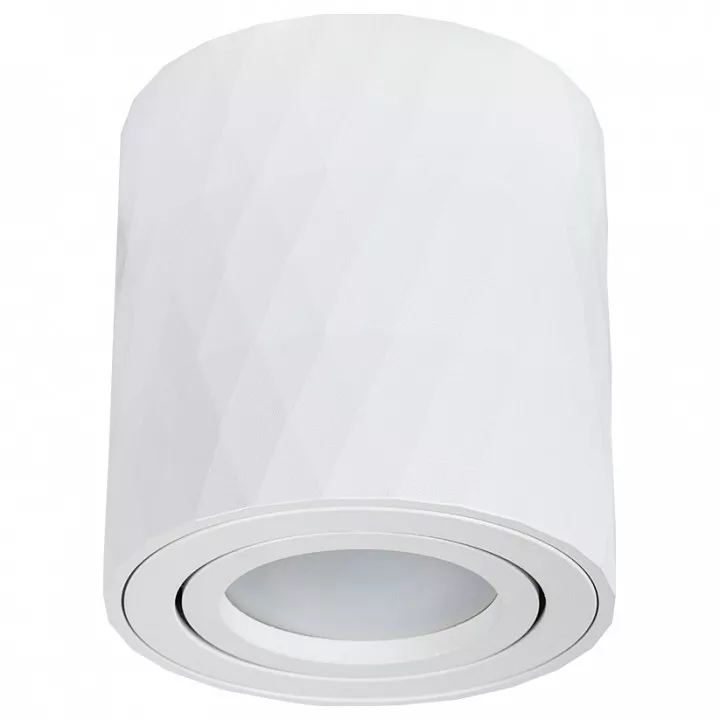 

Потолочный светильник Arte Lamp Fang A5559PL-1WH